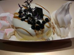 -狐狸和向日葵(北京路店)