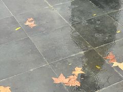 -侵华日军南京大屠杀遇难同胞纪念馆