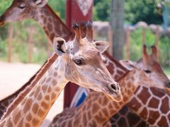 -杭州野生动物世界