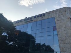 -深圳东部华侨城瀑布酒店