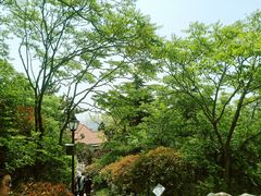 -信号山公园