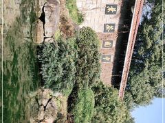 -中国茶叶博物馆(双峰馆区)
