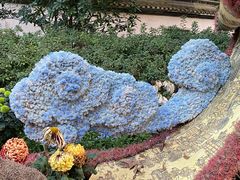 -杭州植物园