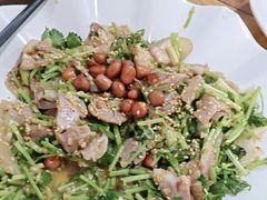 -东鸽皇(奥园·中环广场店)