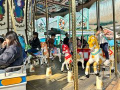 -海合安成都极地海洋公园