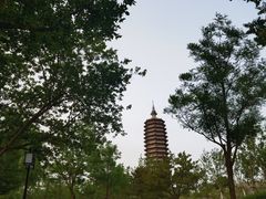 -西海子公园
