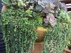 景观位-卡朋厨房(289艺术园区店)