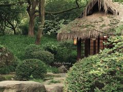 -中国茶叶博物馆(双峰馆区)