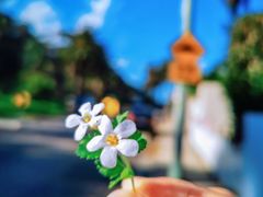 -沃森湾