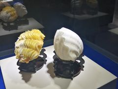 -贝壳王国博物馆