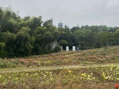 -宜兴龙背山森林公园