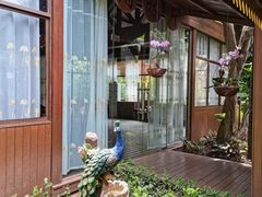 -西双版纳原始森林公园