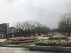 -天府芙蓉园
