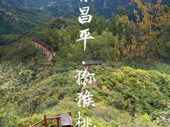 -大岭沟猕猴桃谷风景区