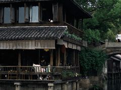 -乌镇景区