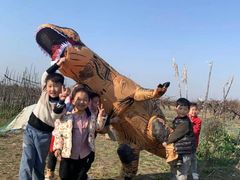 -樂桃源奉贤黄桃种植采摘基地