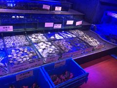 -青蓬蒸汽海鲜·深圳老字号·团建聚会(壹方城店)