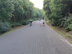 -上海海湾国家森林公园