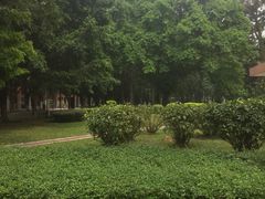 -广东外语外贸大学(白云山校区)