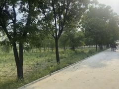 -北京群众马术培训基地