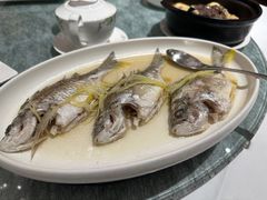 蒸黄花鱼-花城苑广府菜(侨鑫店)