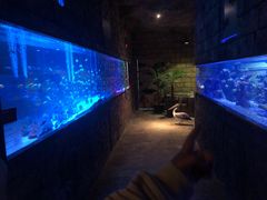 -zoonana室内动物园(东方福来德店)