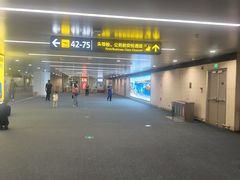 -青岛胶东国际机场