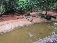 -海南热带野生动植物园