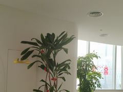 -艳阳天·非遗楚菜(武展店)