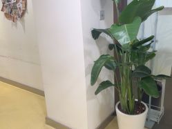 -塑青春&伊肤泉祛痘皮肤管理