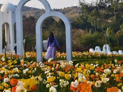 -名花谷生态庄园