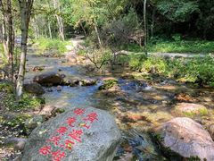 -玉渡山自然风景区