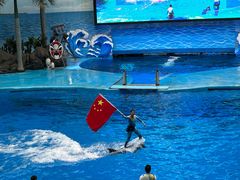 -海合安成都极地海洋公园
