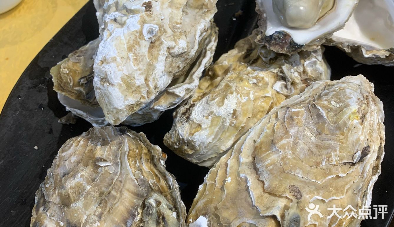 手掌一样大只生蚝🦪