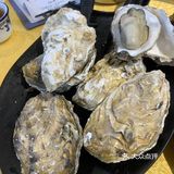 手掌一样大只生蚝🦪