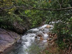 -广州市石门国家森林公园