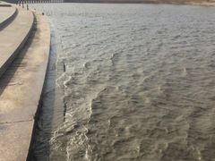 -卧龙湖
