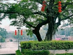 -荔湾湖公园