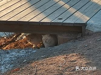 人也少了，去看日出的好地方