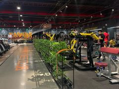 -梧桐阳光国际游泳健身会所(亚运村店)