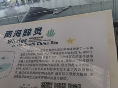 -中国（海南）南海博物馆