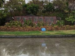 -洱海月湿地公园