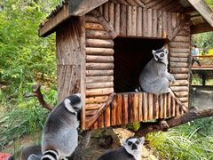 -北京野生动物园