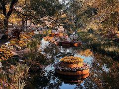 -上海共青森林公园