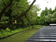 -同里国家湿地公园