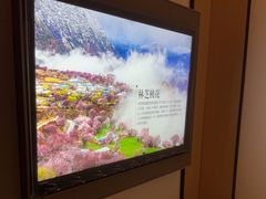 -港湾一号美食水疗会