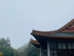-临江·阅炉