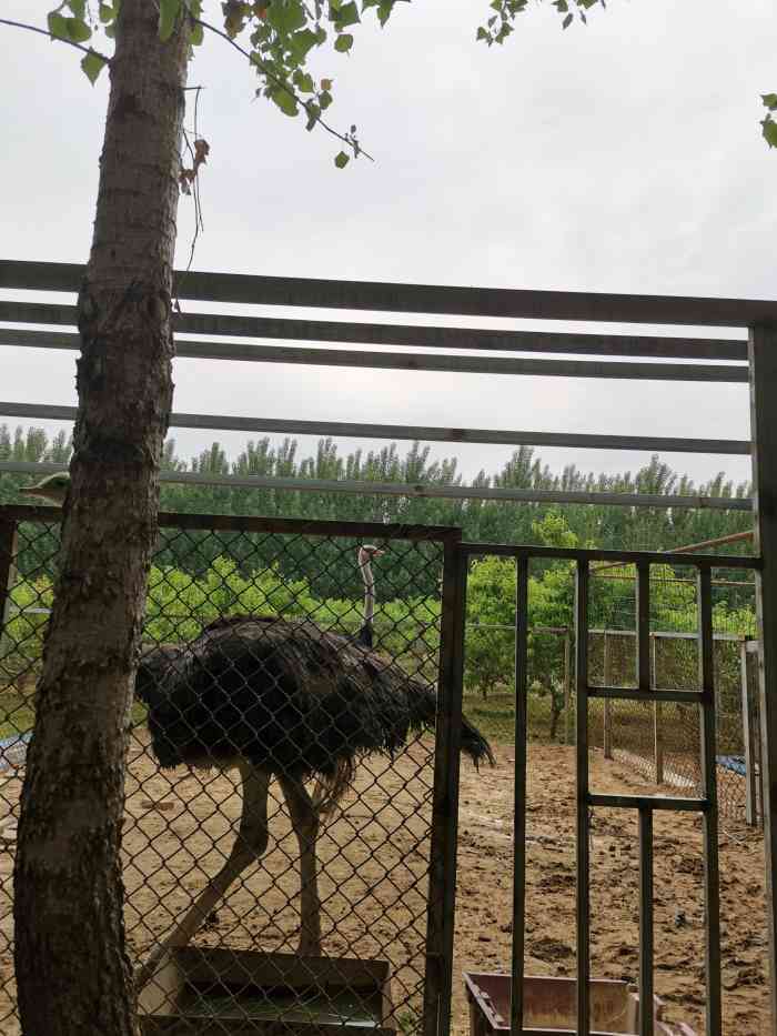 鹊华开心农场-"十一假期过后去的,看了点评决定带孩子来这.