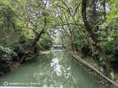-红梅公园