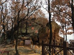 景点-大伊山景区